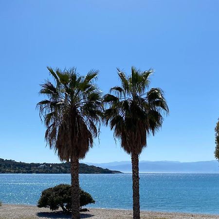 Palm Suite Green Porto Heli Dış mekan fotoğraf
