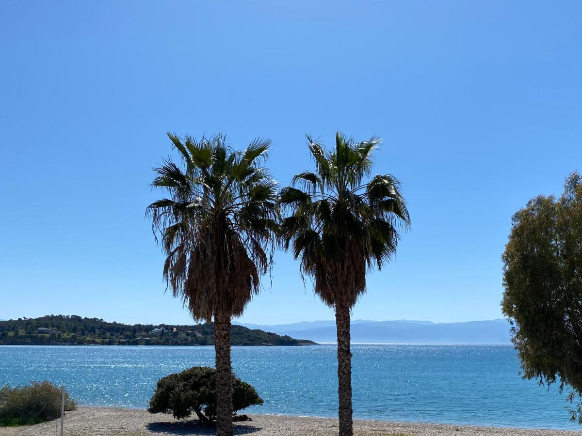 Palm Suite Green Porto Heli Dış mekan fotoğraf